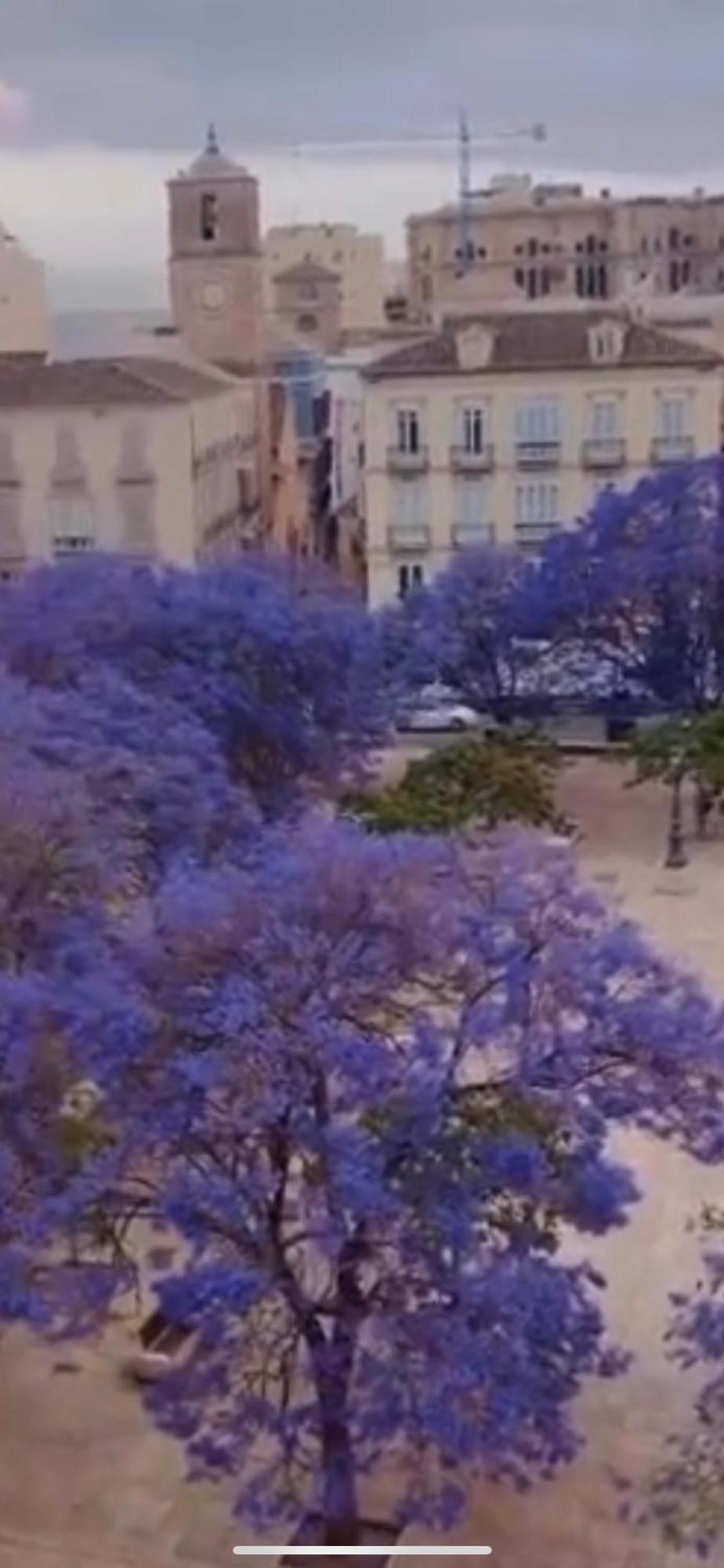 Apartamento—Centro Parking Gratis Grupos Malaga Exterior photo